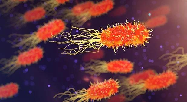 什么是人身意外险？人身意外险最多可以投保几份？插图2