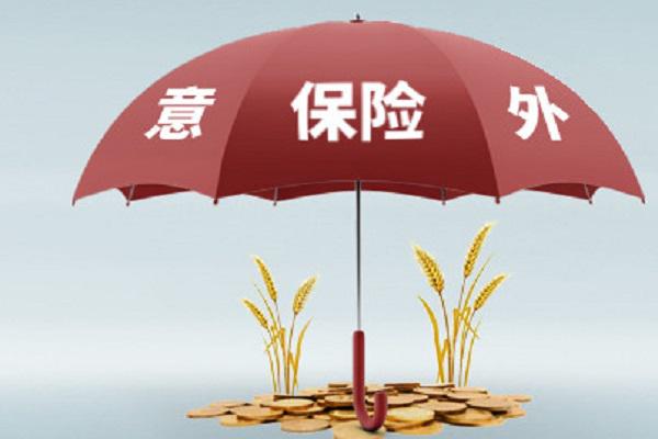 小蜜蜂超越版怎么样？小蜜蜂超越版值得买吗？-PLB