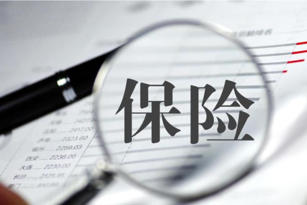蜜蜂全年综合意外保险怎么样？有投保案例吗？-PLB