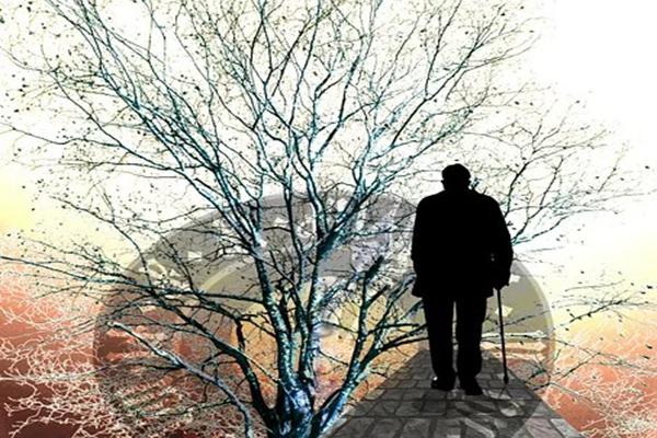 什么是平安意外险？能买两份不同的平安意外险吗？-PLB