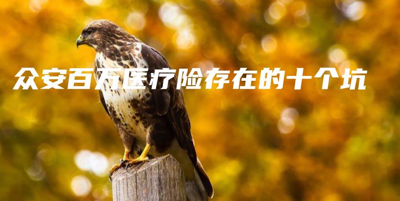 众安百万医疗险存在的十个坑-PLB