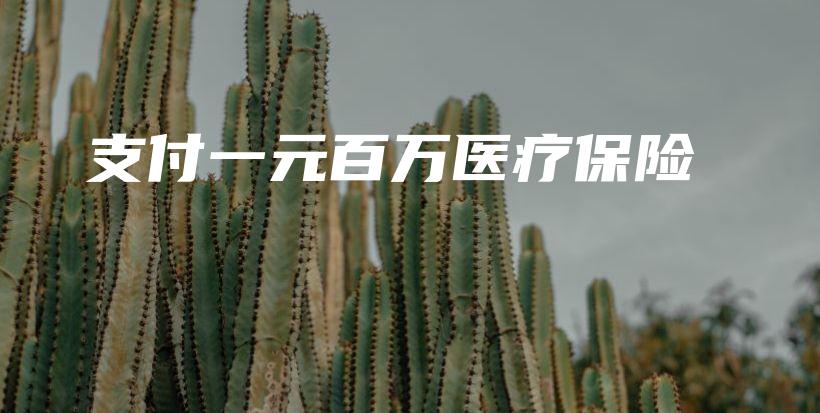 支付一元百万医疗保险-PLB