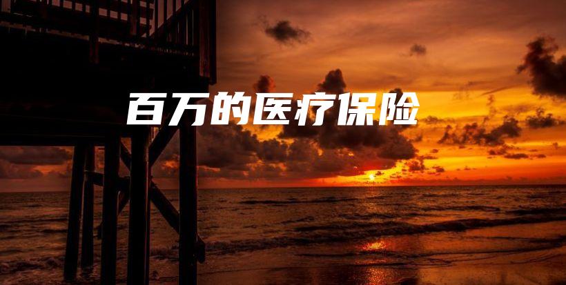 百万的医疗保险-PLB