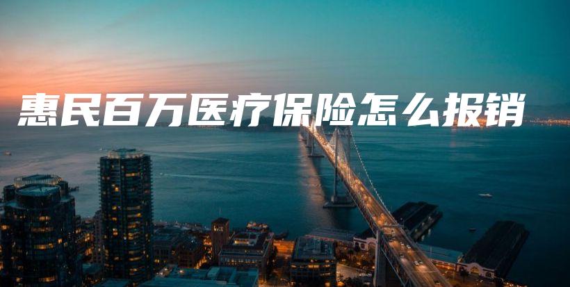 惠民百万医疗保险怎么报销-PLB