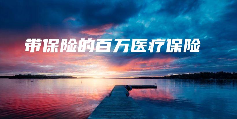 带保险的百万医疗保险-PLB