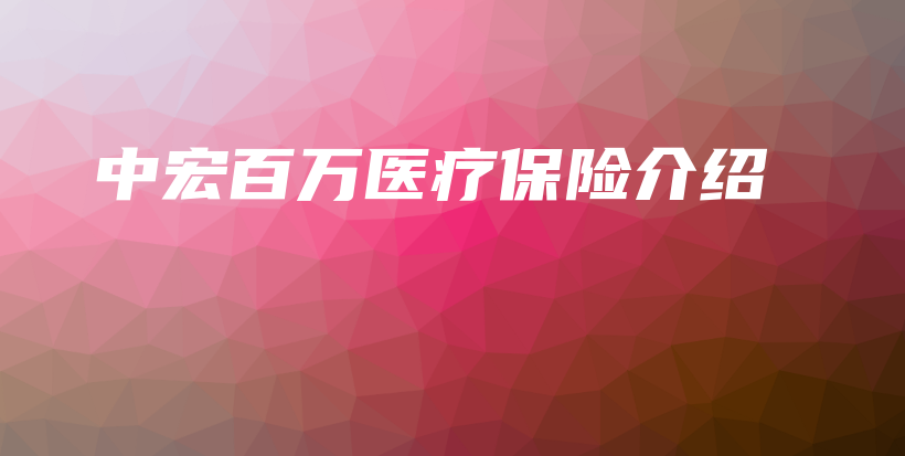 中宏百万医疗保险介绍-PLB