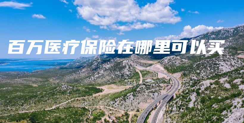 百万医疗保险在哪里可以买-PLB