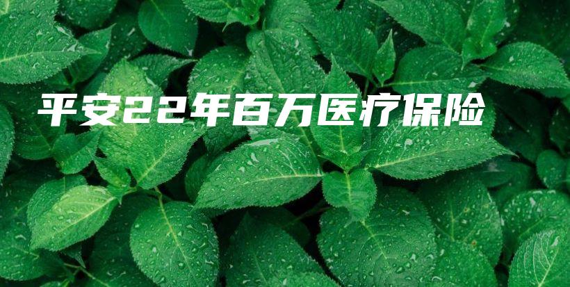 平安22年百万医疗保险-PLB