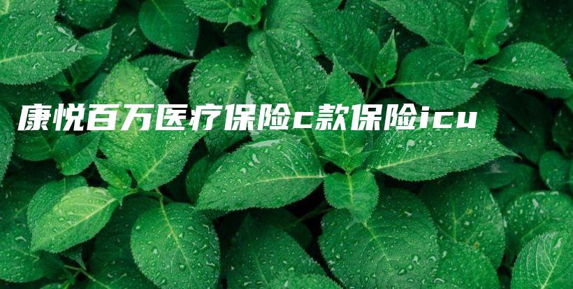 康悦百万医疗保险c款保险icu-PLB