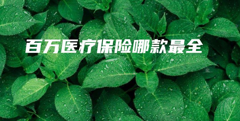 百万医疗保险哪款最全-PLB