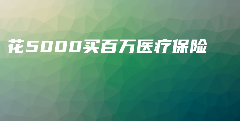 花5000买百万医疗保险-PLB
