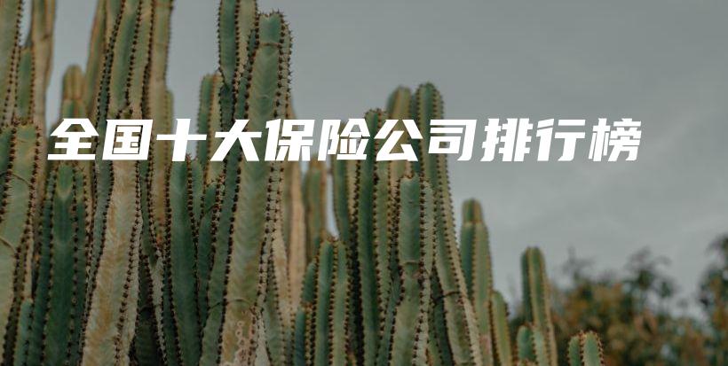 全国十大保险公司排行榜-PLB
