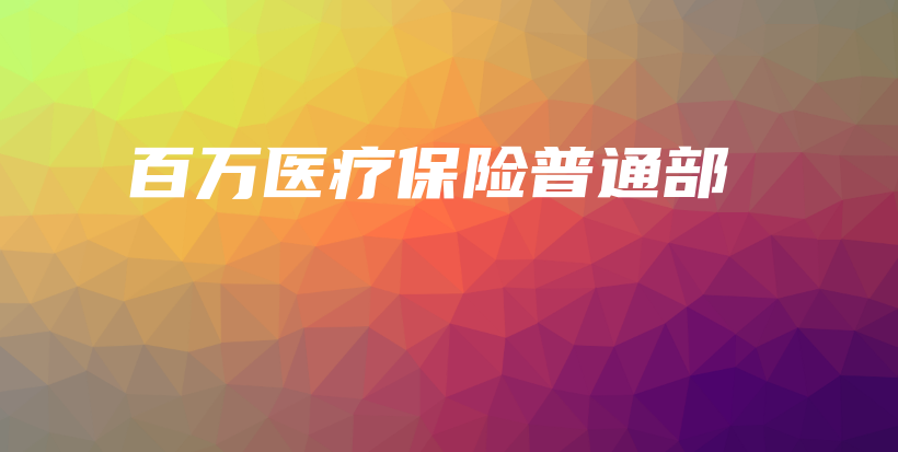 百万医疗保险普通部-PLB