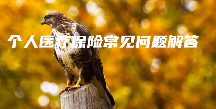 个人医疗保险常见问题解答-PLB