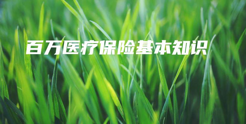 百万医疗保险基本知识-PLB