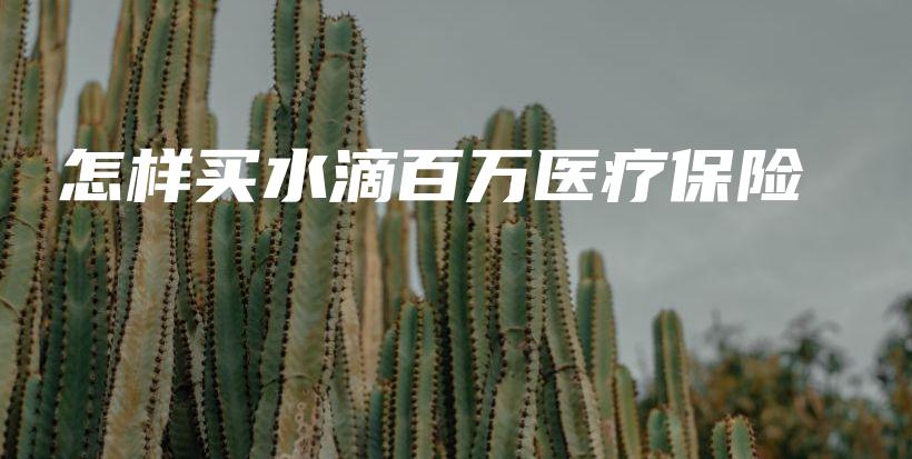怎样买水滴百万医疗保险-PLB