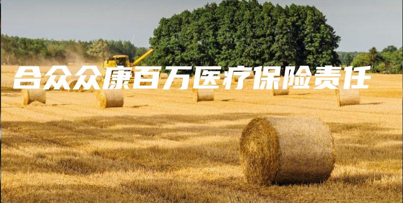 合众众康百万医疗保险责任-PLB