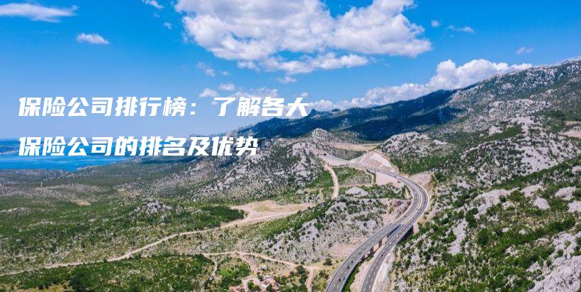 保险公司排行榜：了解各大保险公司的排名及优势-PLB