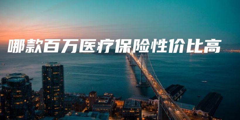 哪款百万医疗保险性价比高-PLB