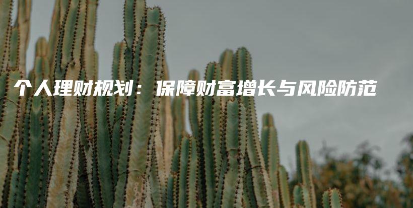 个人理财规划：保障财富增长与风险防范-PLB