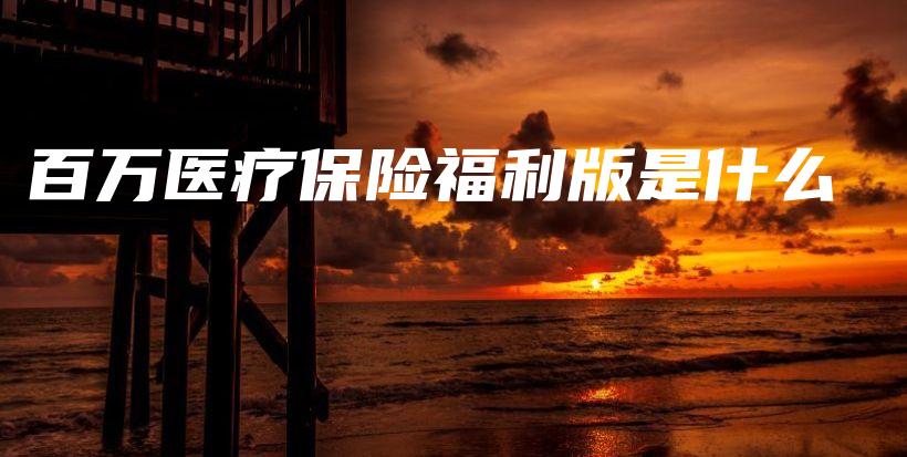 百万医疗保险福利版是什么-PLB