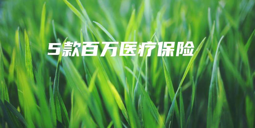 5款百万医疗保险-PLB