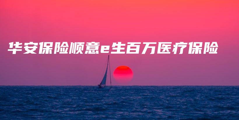 华安保险顺意e生百万医疗保险-PLB