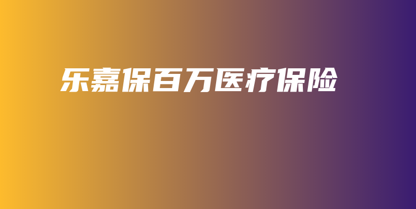 乐嘉保百万医疗保险-PLB