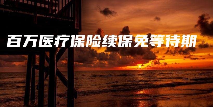 百万医疗保险续保免等待期-PLB