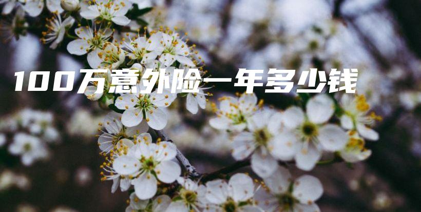 100万意外险一年多少钱-PLB