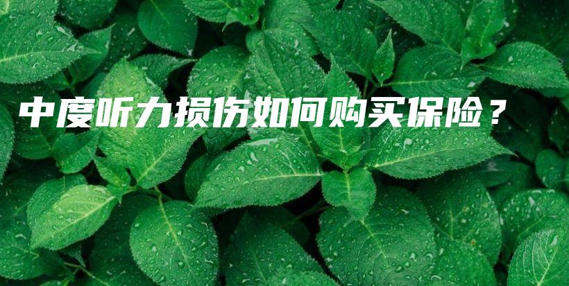 中度听力损伤如何购买保险？-PLB