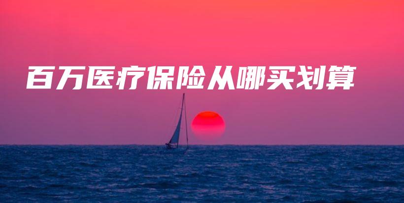 百万医疗保险从哪买划算-PLB