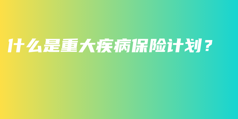 什么是重大疾病保险计划？-PLB