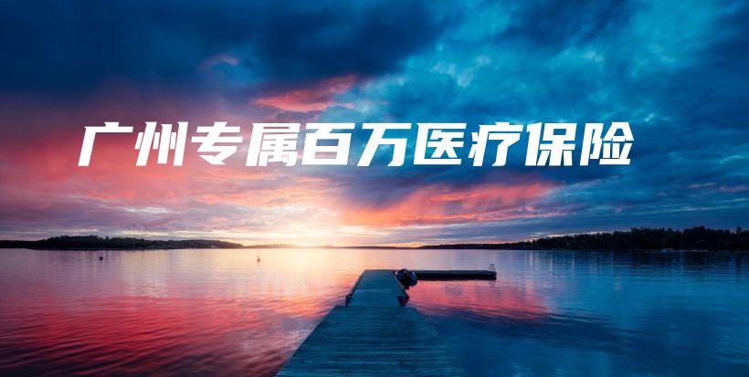 广州专属百万医疗保险-PLB