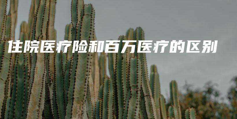 住院医疗险和百万医疗的区别-PLB