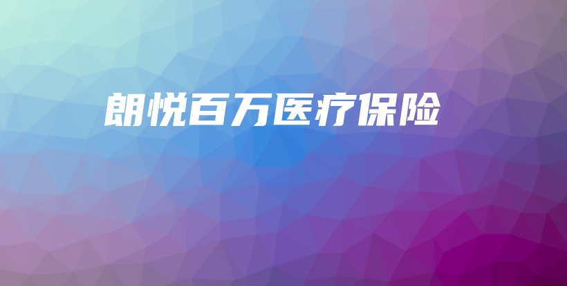 朗悦百万医疗保险-PLB