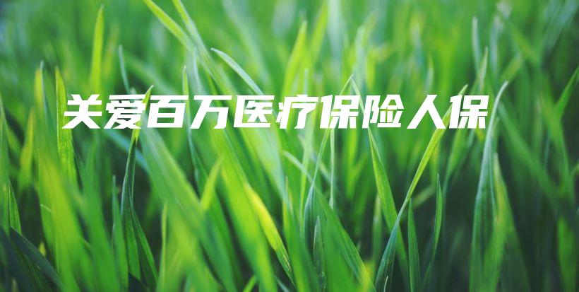 关爱百万医疗保险人保-PLB