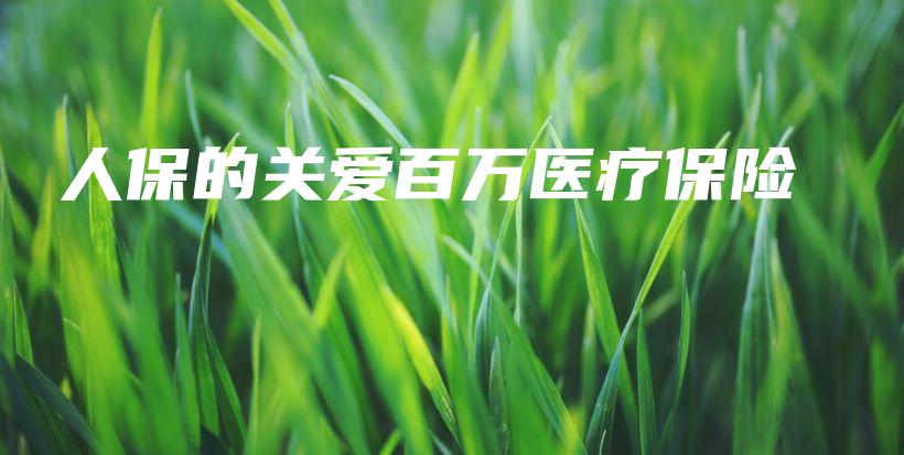 人保的关爱百万医疗保险-PLB