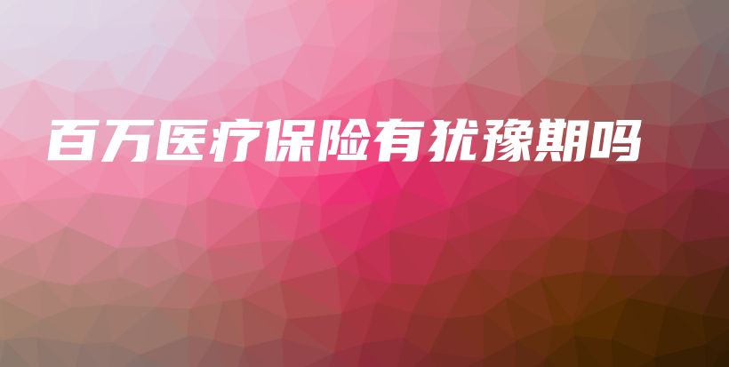 百万医疗保险有犹豫期吗-PLB