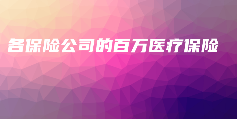 各保险公司的百万医疗保险-PLB