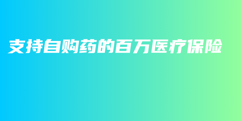 支持自购药的百万医疗保险-PLB
