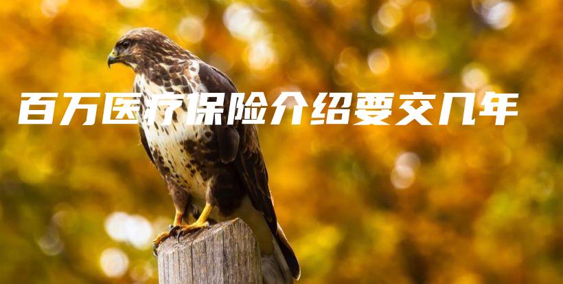 百万医疗保险介绍要交几年-PLB