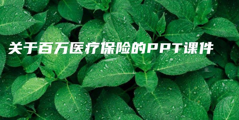 关于百万医疗保险的PPT课件-PLB