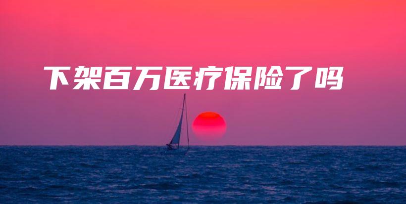 下架百万医疗保险了吗-PLB
