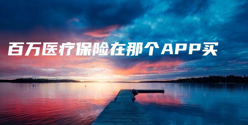 百万医疗保险在那个APP买-PLB