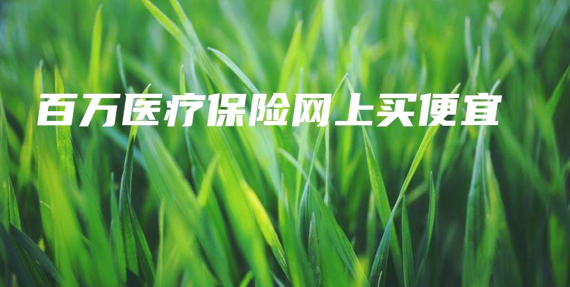 百万医疗保险网上买便宜-PLB