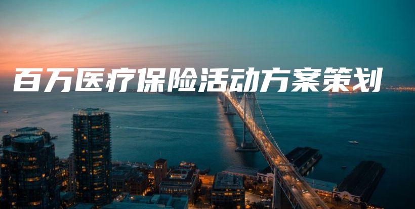 百万医疗保险活动方案策划-PLB