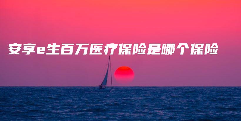 安享e生百万医疗保险是哪个保险-PLB