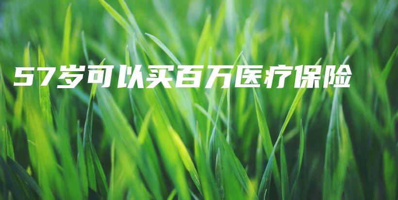 57岁可以买百万医疗保险-PLB