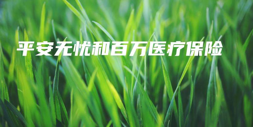 平安无忧和百万医疗保险-PLB